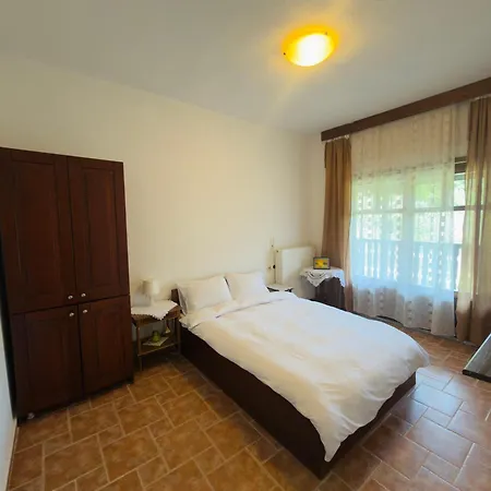 Hause Sogambros 2