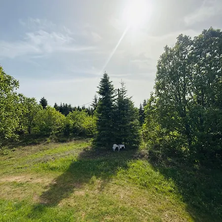 Prázdninový dům Hause Sogambros 2 *