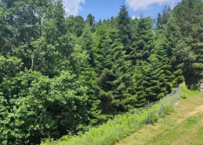 度假居 Hause Sogambros 2 塔克西阿尔希斯